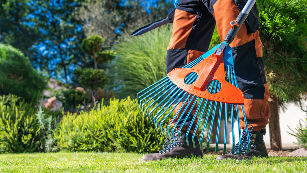 Gartenpflege in der Nähe